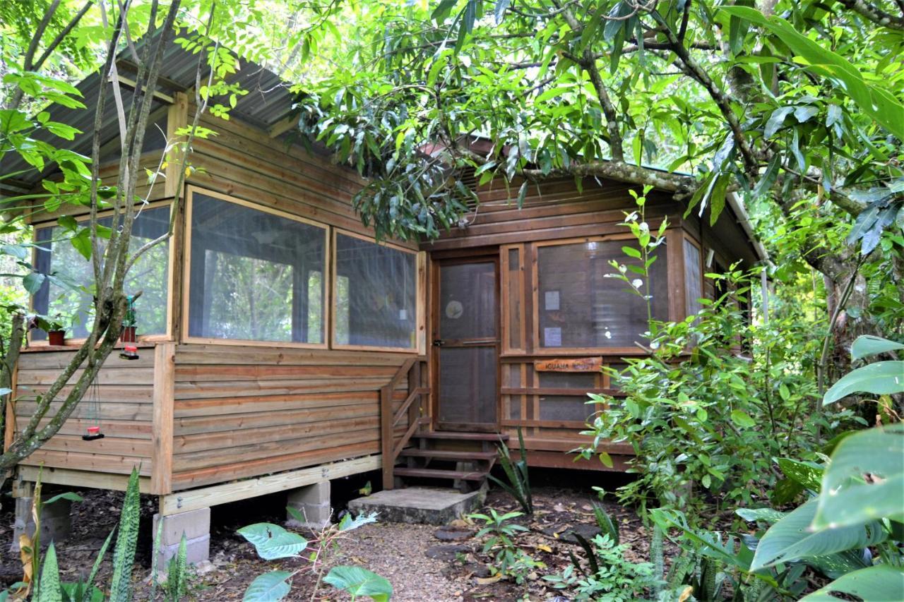 Iguana Roost Tourism Gold Standard Fully Equipped Two Bedroom Cabin San Ignacio Esterno foto