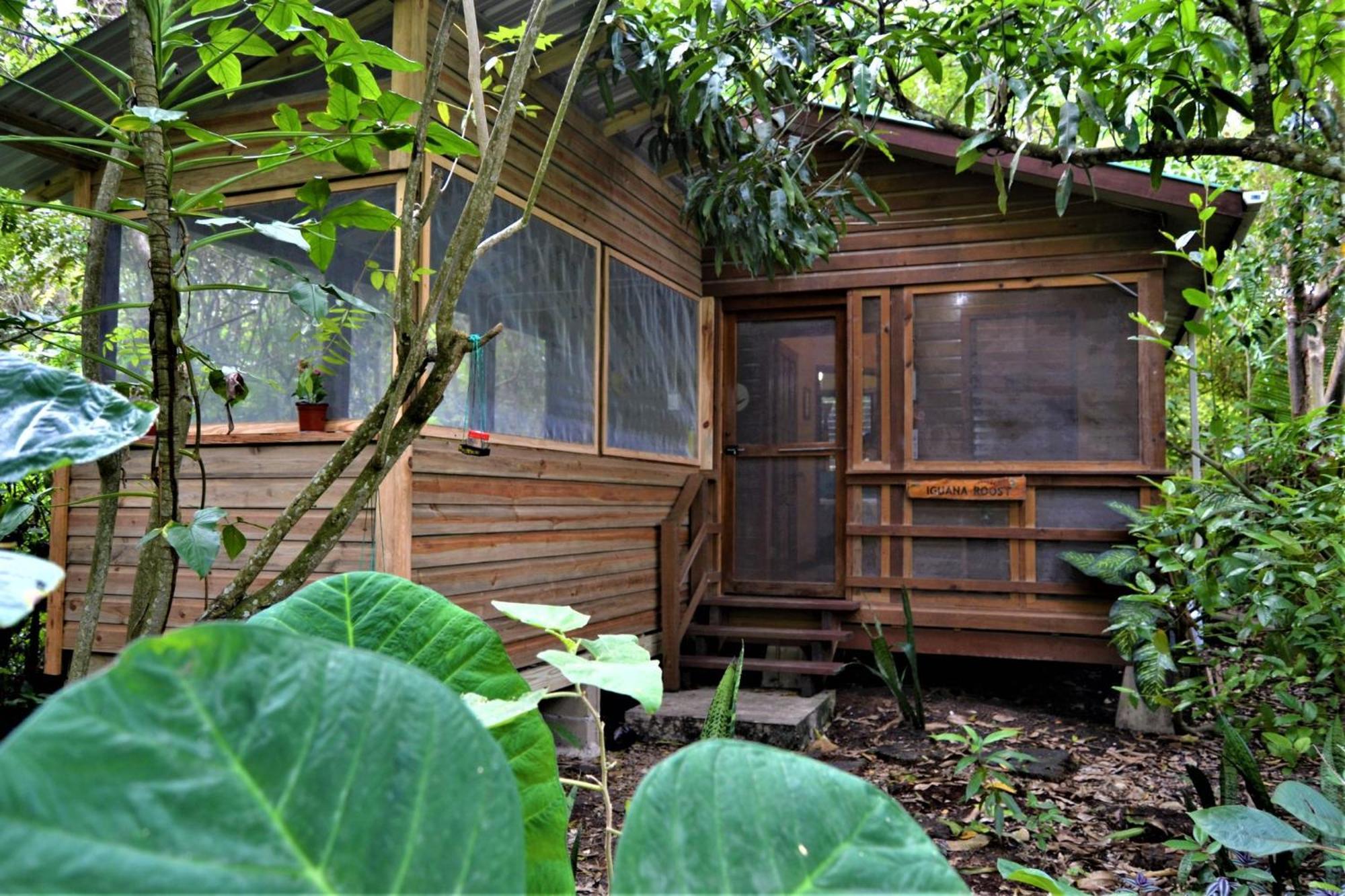 Iguana Roost Tourism Gold Standard Fully Equipped Two Bedroom Cabin San Ignacio Esterno foto