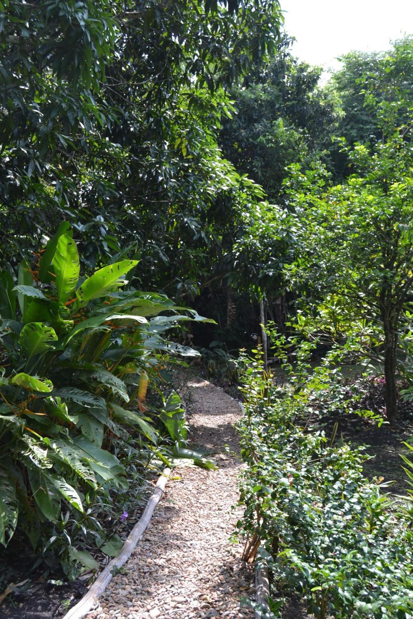 Iguana Roost Tourism Gold Standard Fully Equipped Two Bedroom Cabin San Ignacio Esterno foto