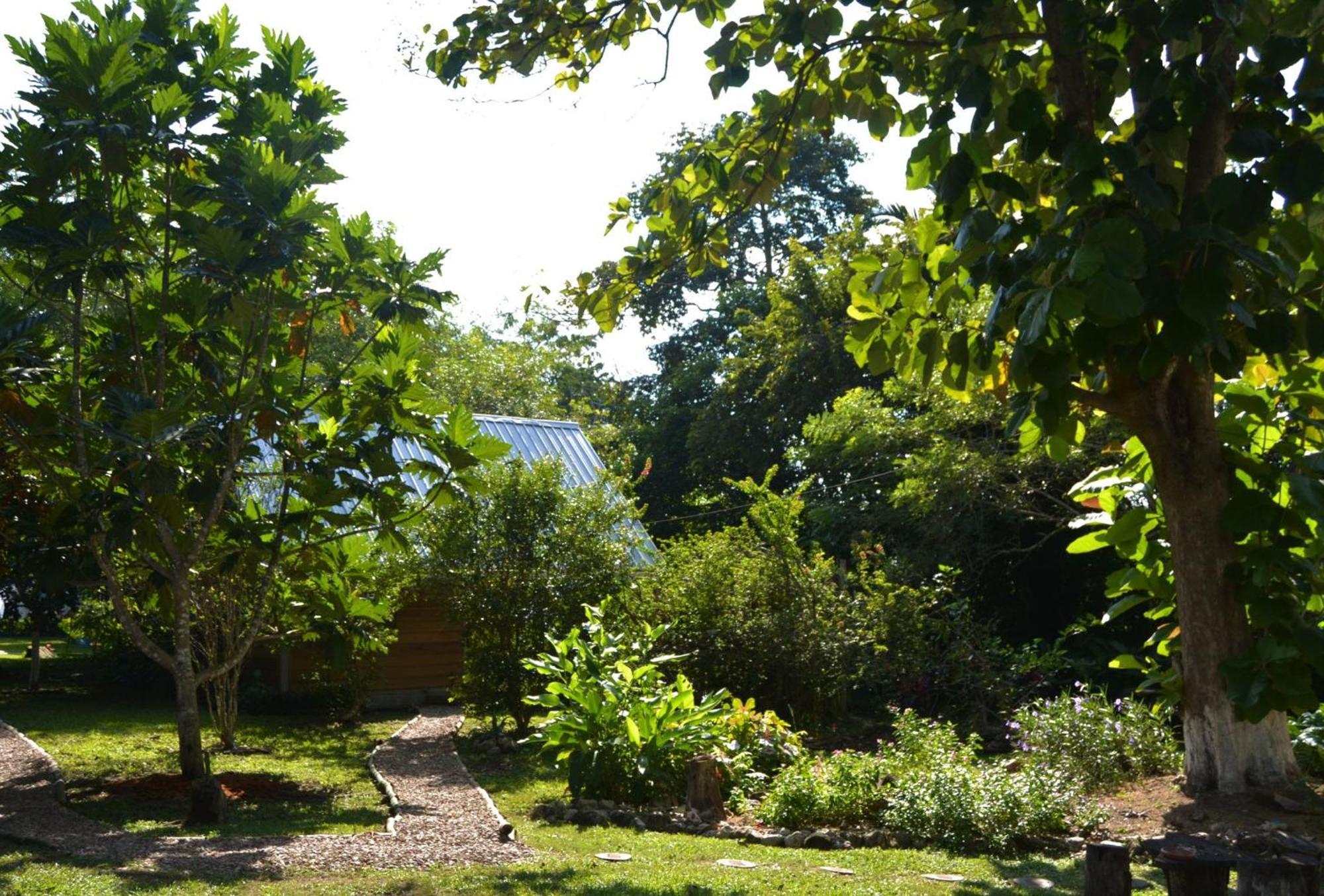 Iguana Roost Tourism Gold Standard Fully Equipped Two Bedroom Cabin San Ignacio Esterno foto