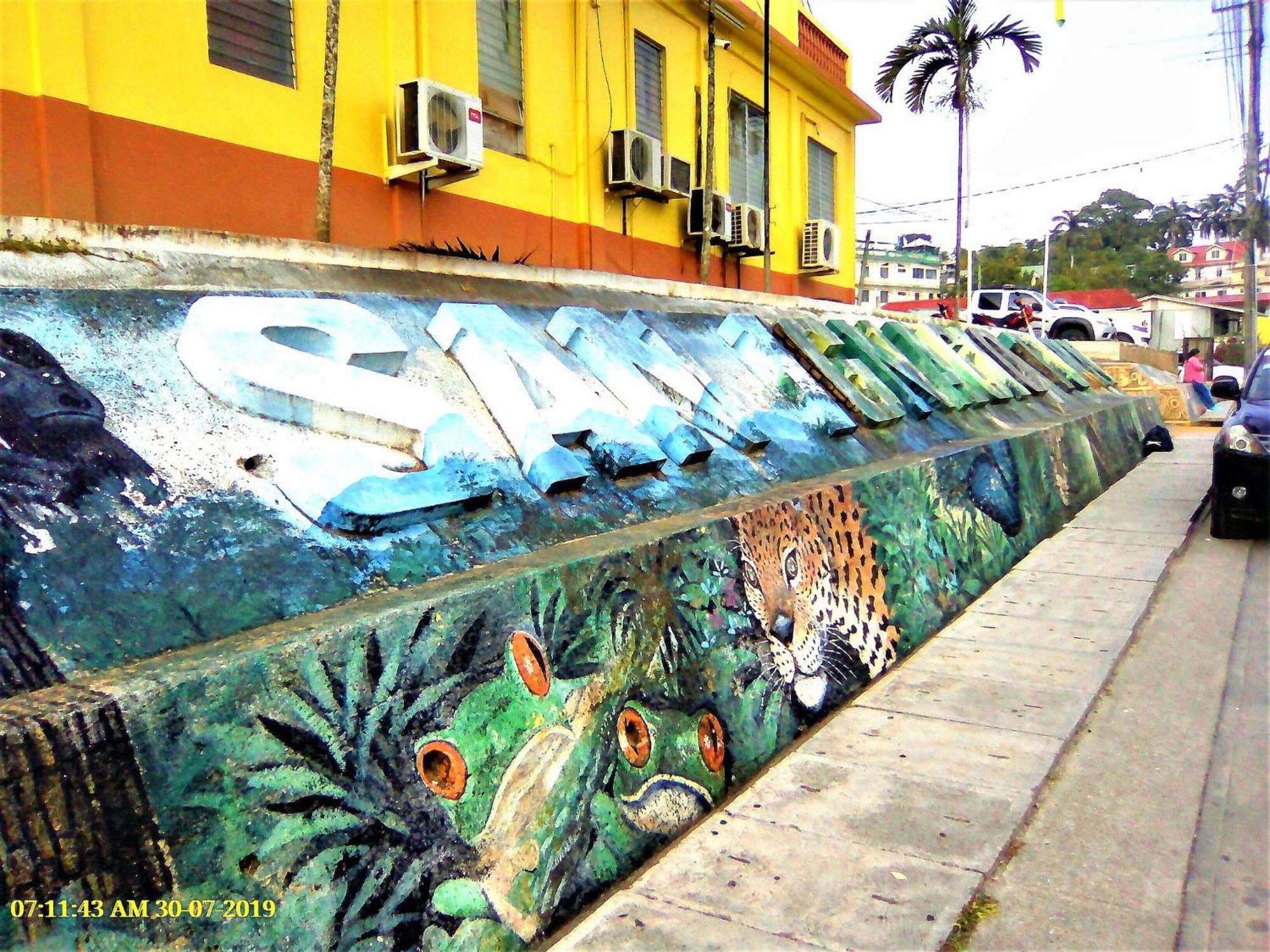 Iguana Roost Tourism Gold Standard Fully Equipped Two Bedroom Cabin San Ignacio Esterno foto